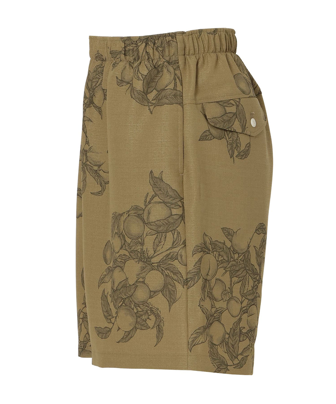 SALUD SHORTS