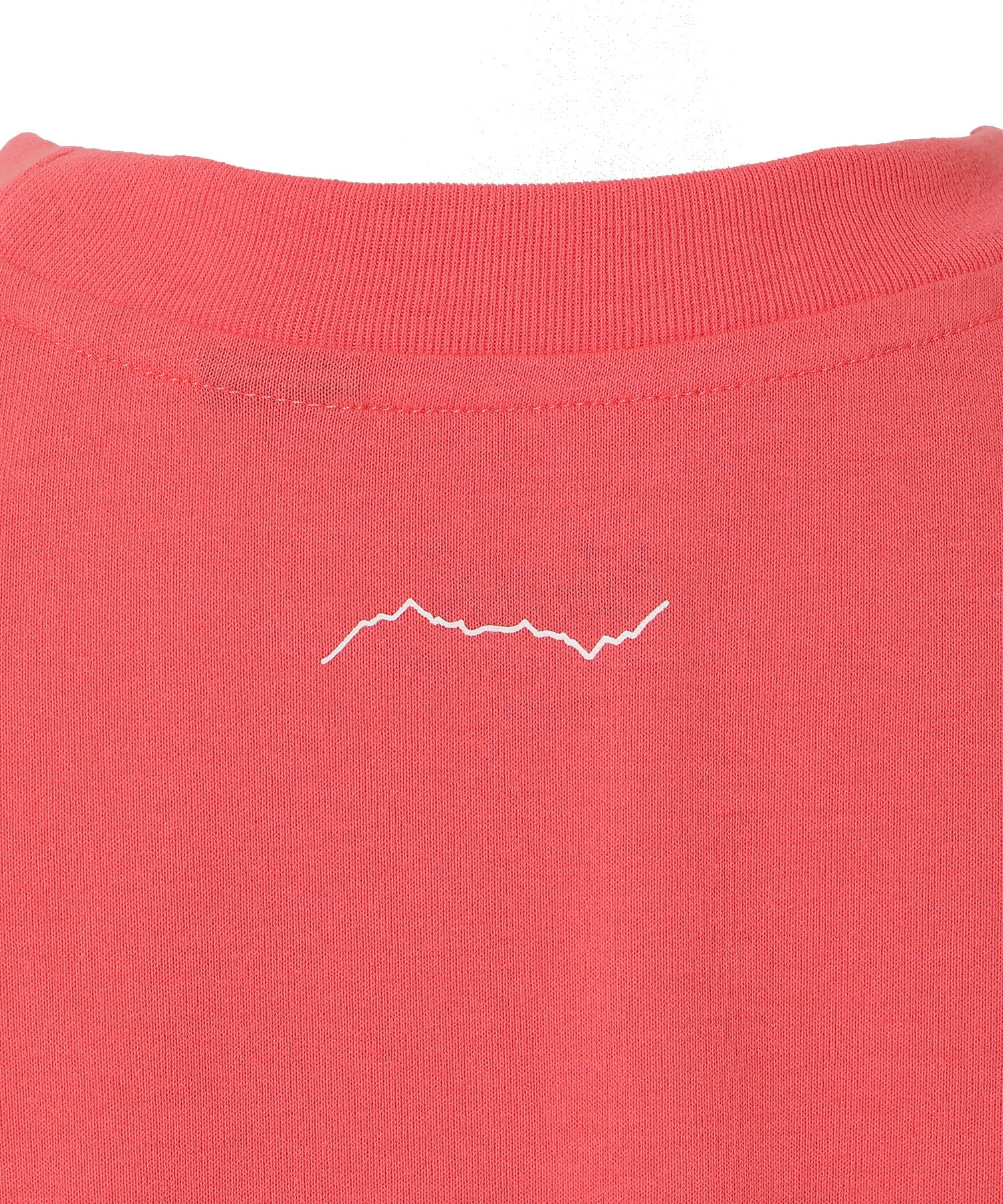 tシャツ DRY MIX TAGLINE F/S TEE W/ドライミックスタグラインフレンチスリーブティー （ウィメンズ） レディース ドライミックス タグラインフレンチスリーブTシャツ