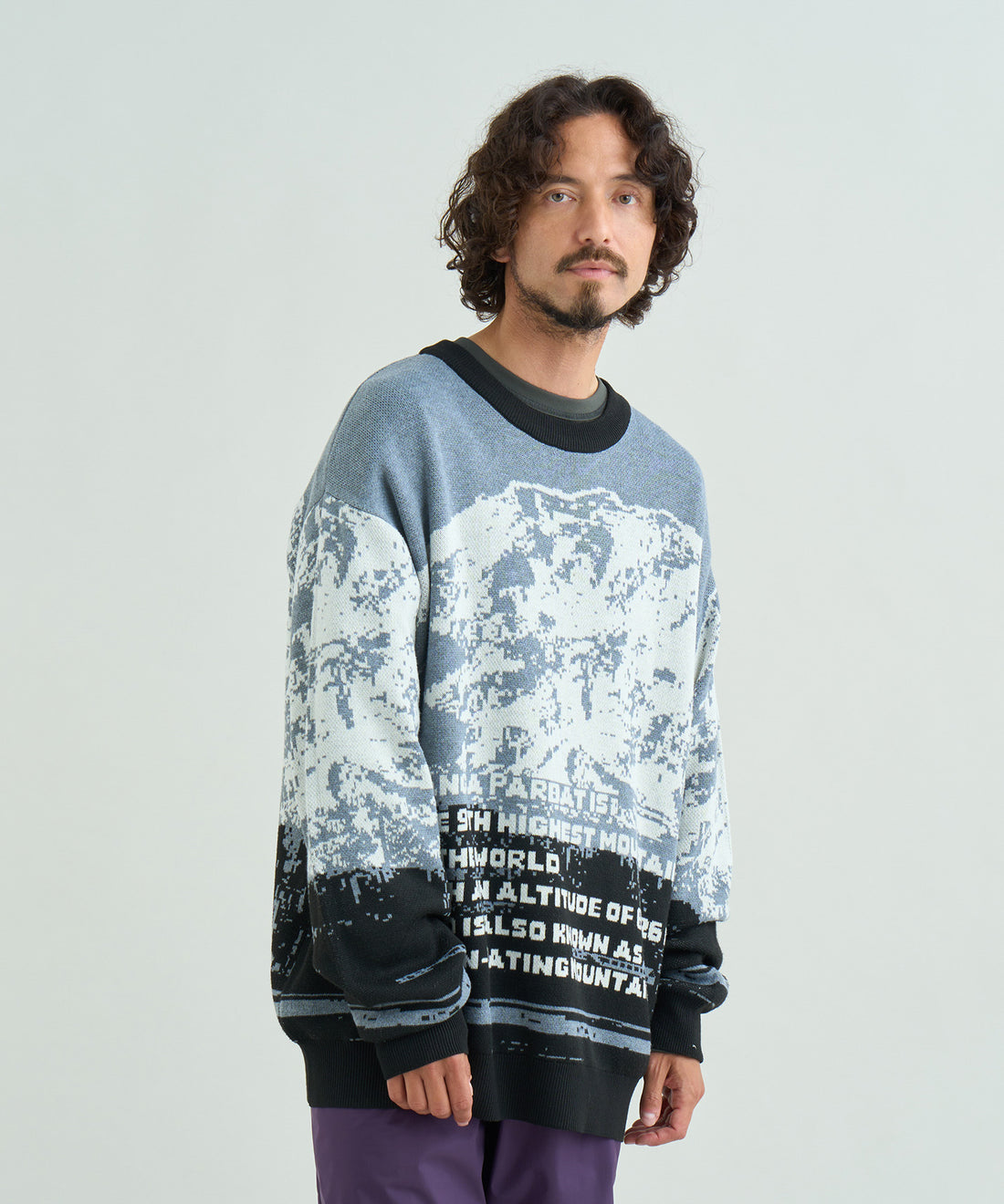 ナンガパルバット ジャカードニット